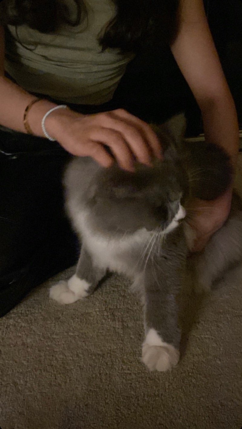 منال الهاشمي