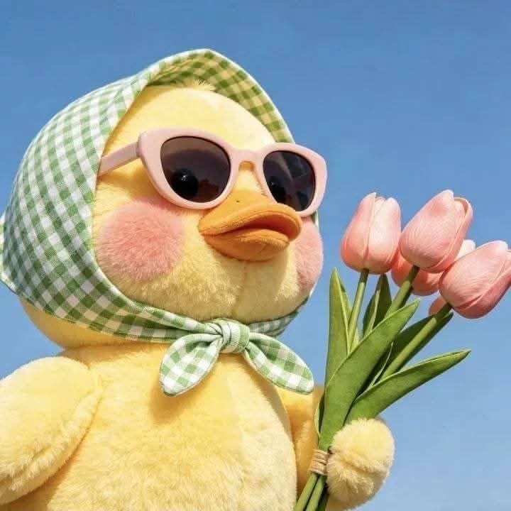 عاليه الموسى