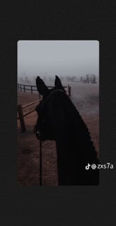 سلطان احمد دحلان ً