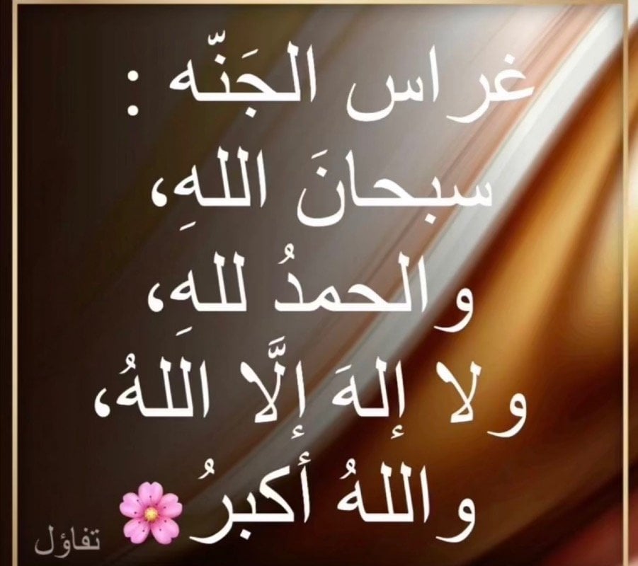 صالحه حسين احمد المرحبي