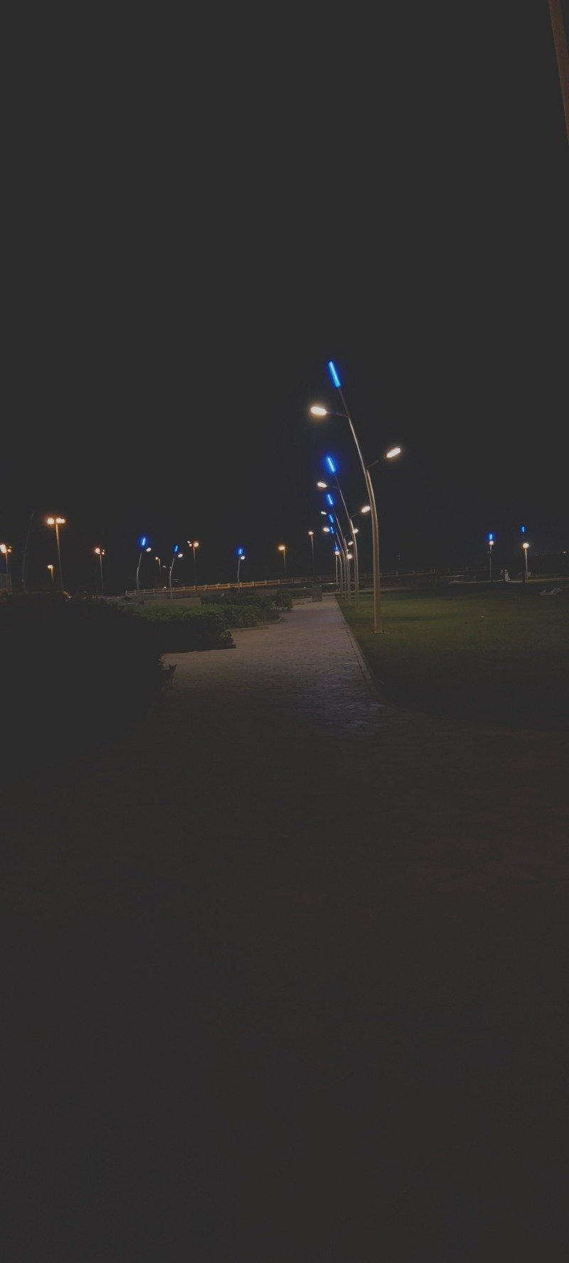 احمد شربتلي