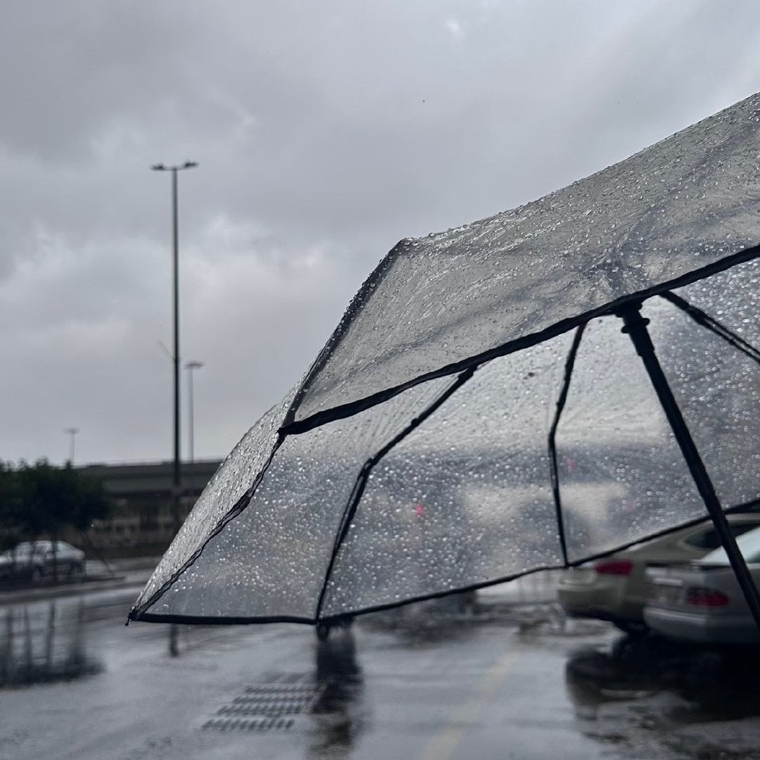 هدى بانافع