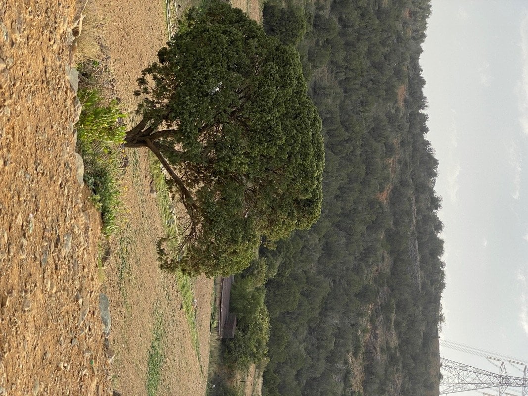 اسحاق ال صمان