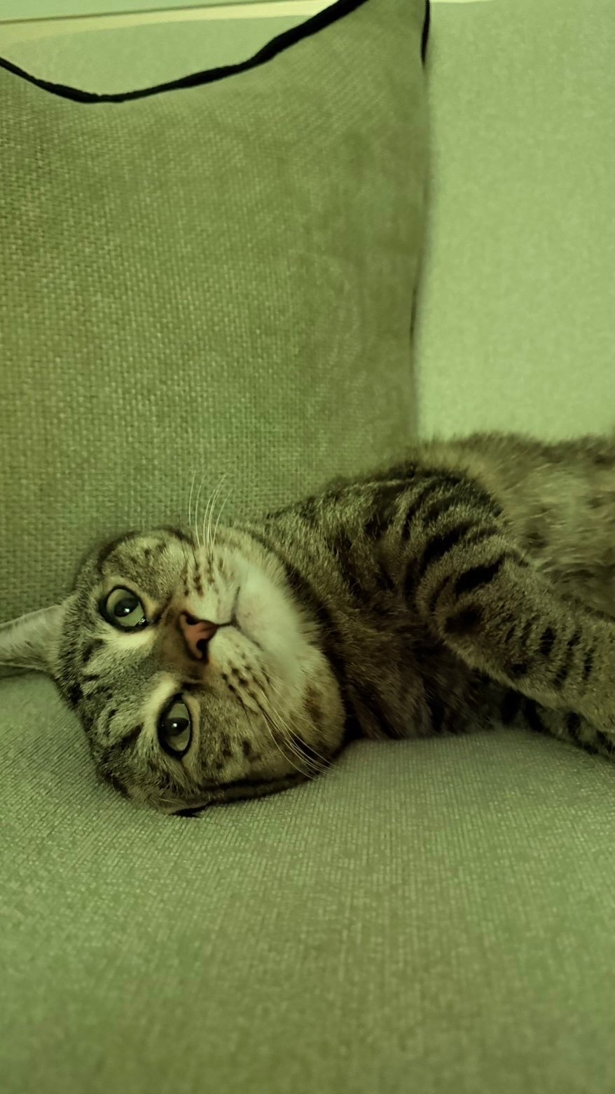 ميثاء الدوسري