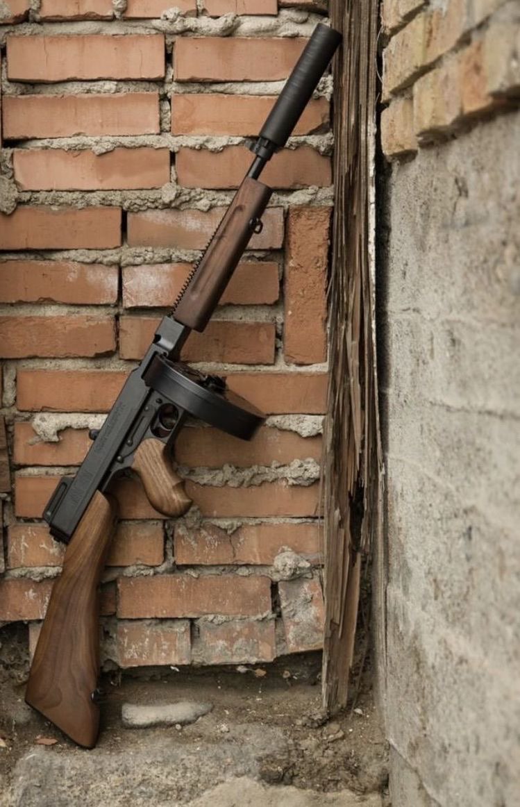 ⚜️ αℓαĸsиɒя  ⚜️