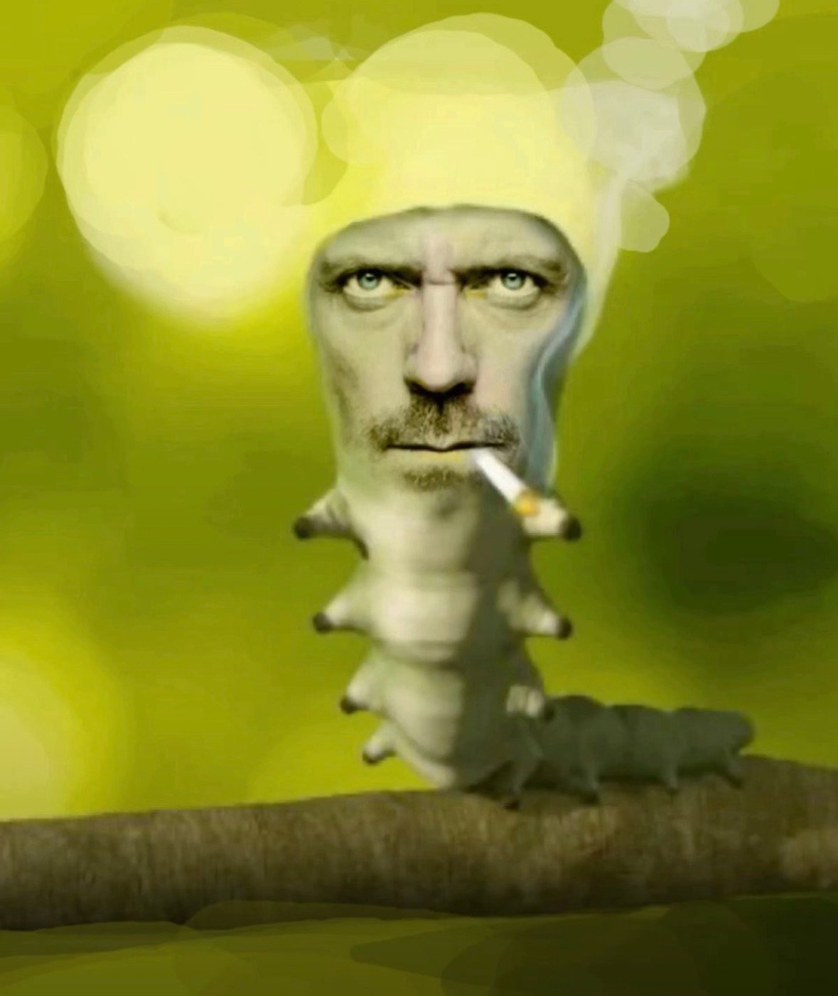 مهند الشهري