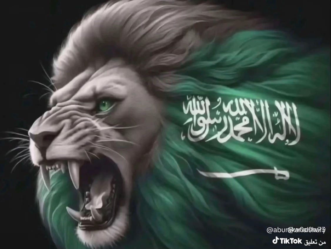 صويلح القرني