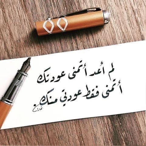 ناصر السبيعي
