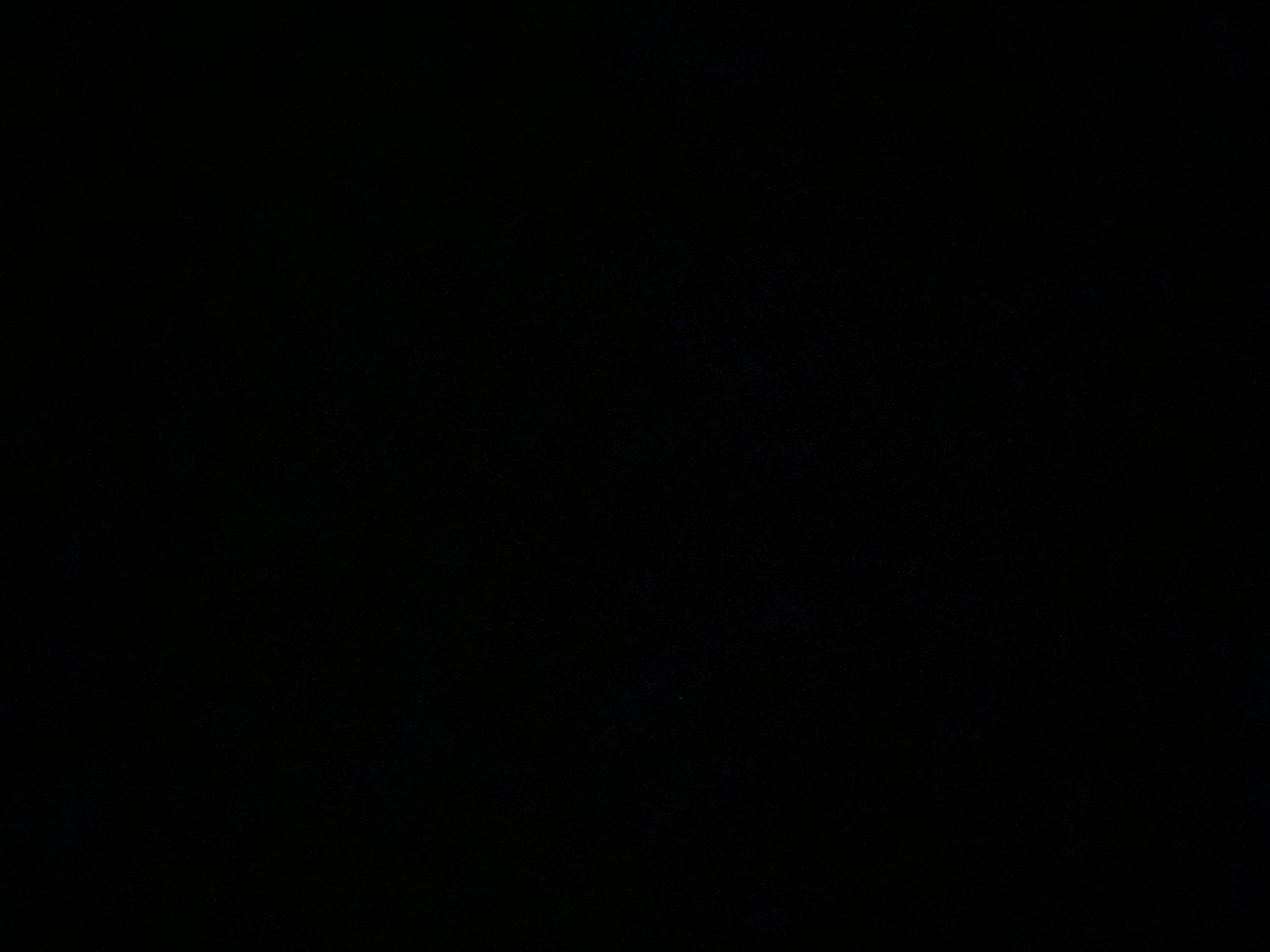 ندى الغامدي