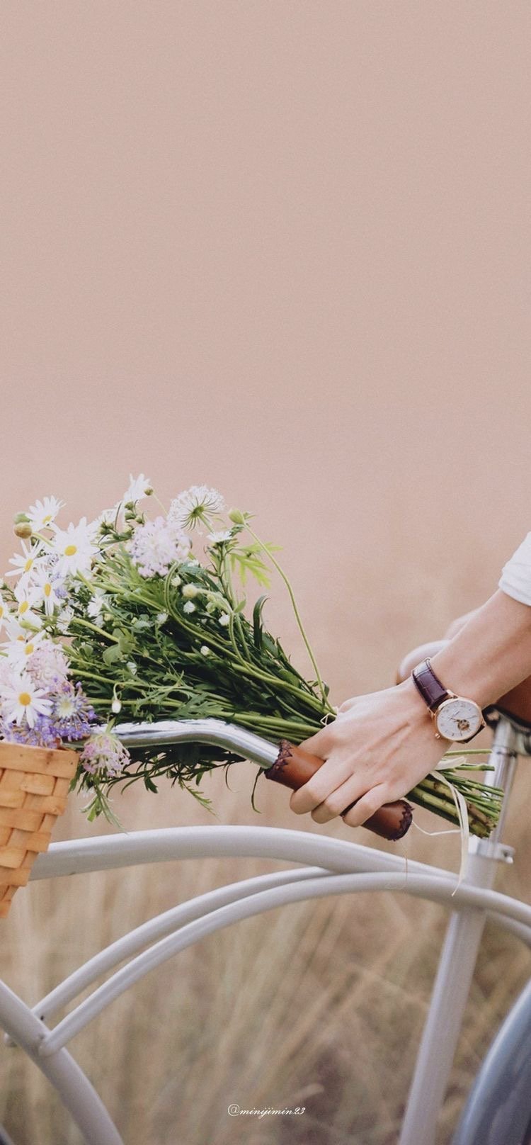 عايشه احمد العبدالرزاق