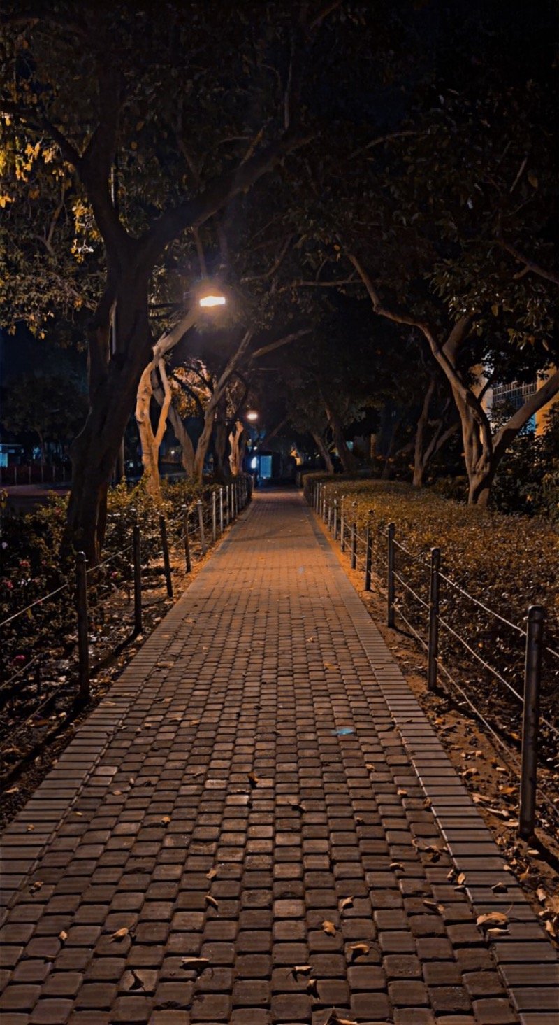 ريان الغانم