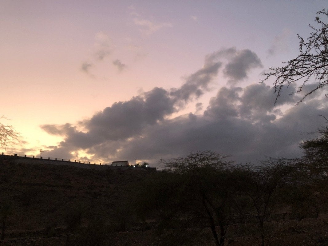 وليد الردادي