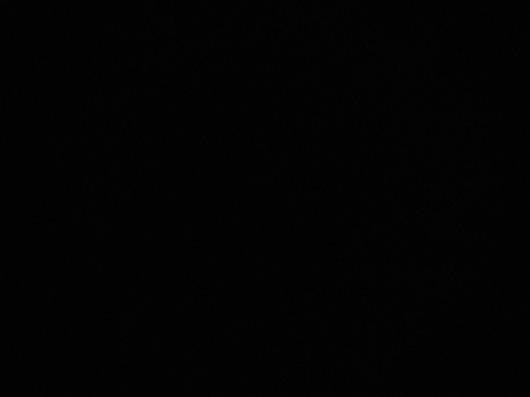 محمد الحربي