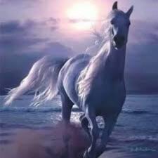 وفاء الحربي