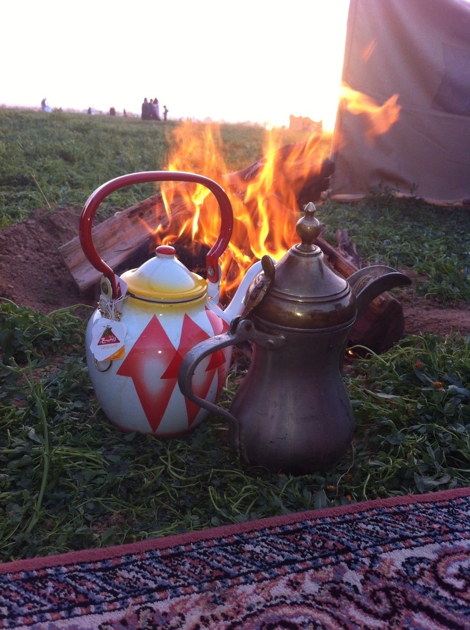فاضل العنزي