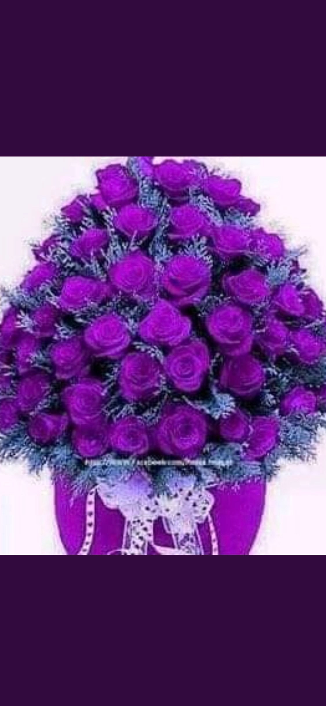 هلال الشقاق