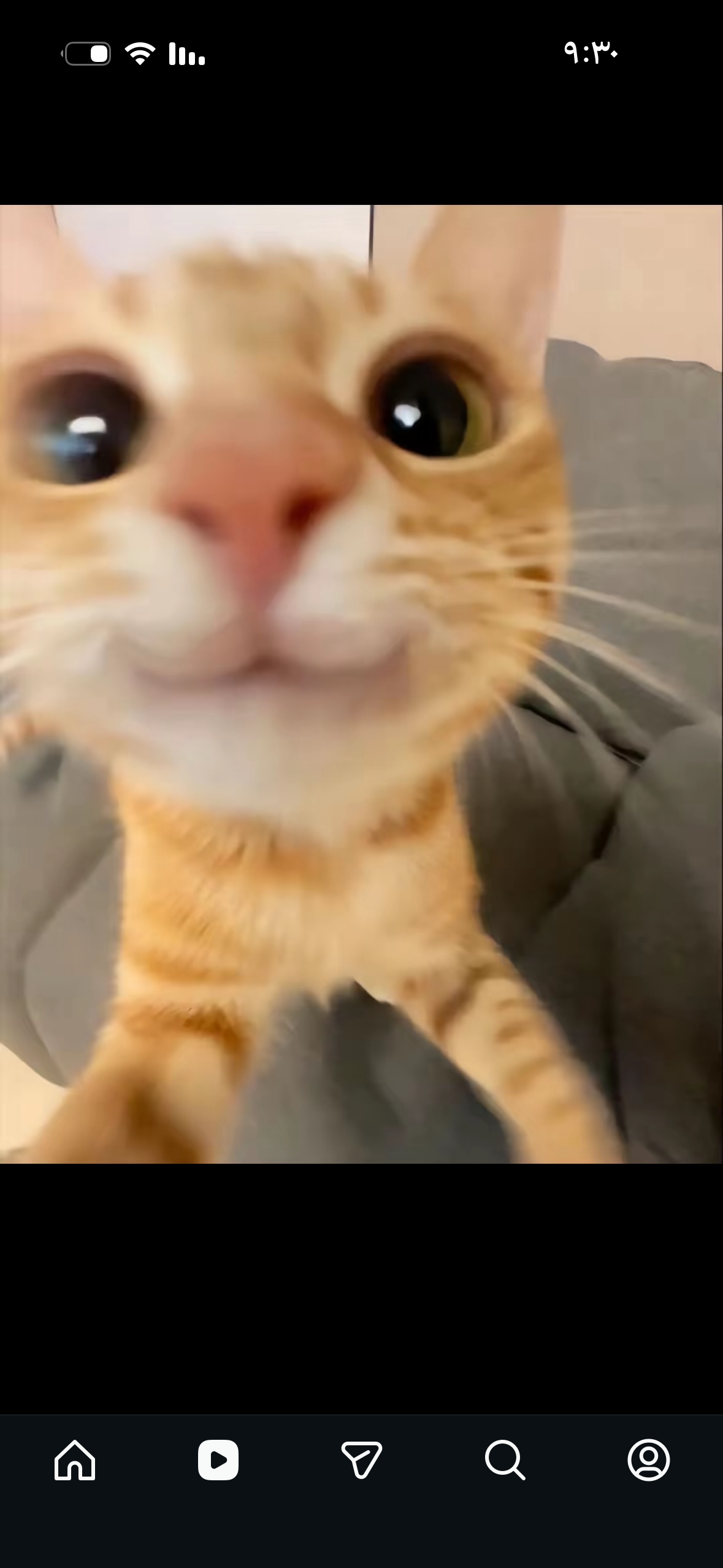 هتون الغامدي