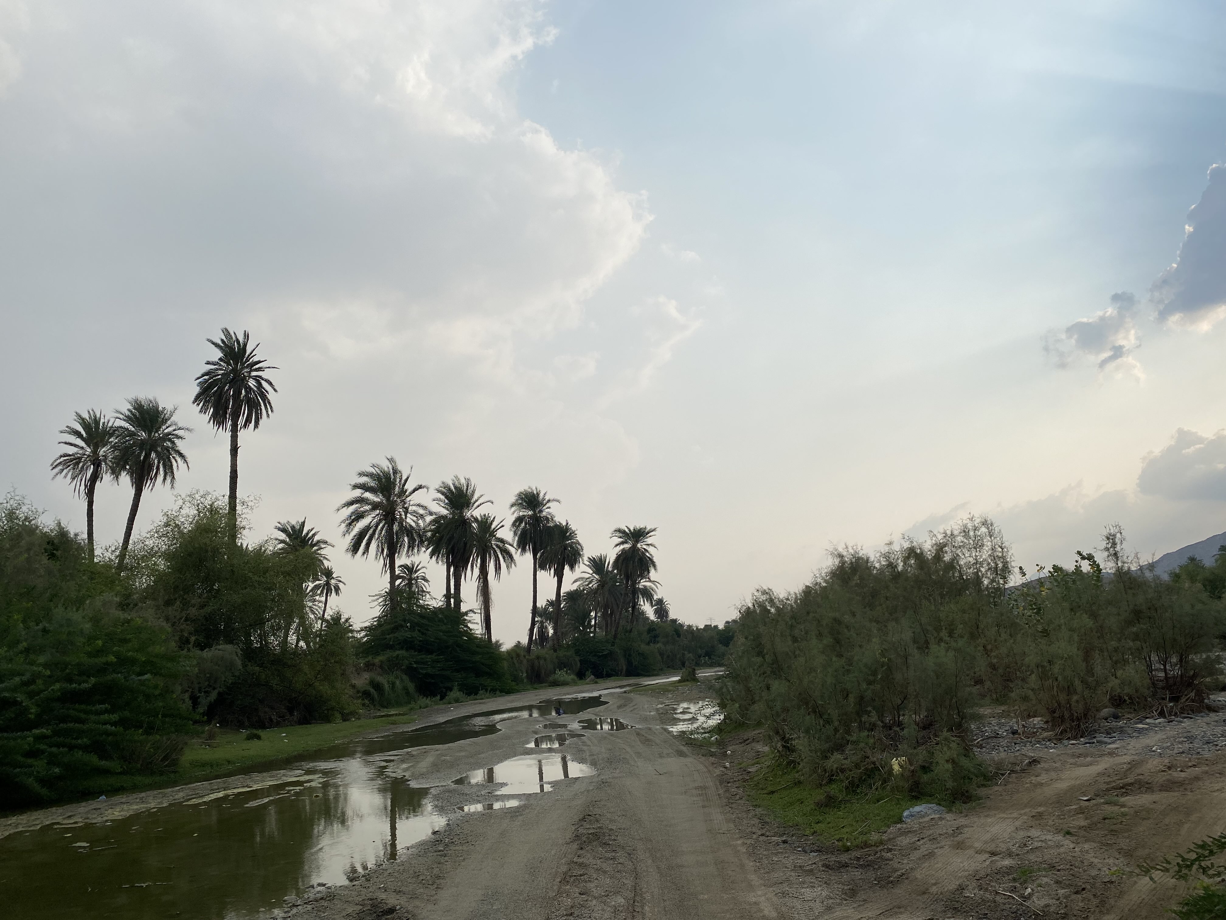 عبداللطيف الفقيه