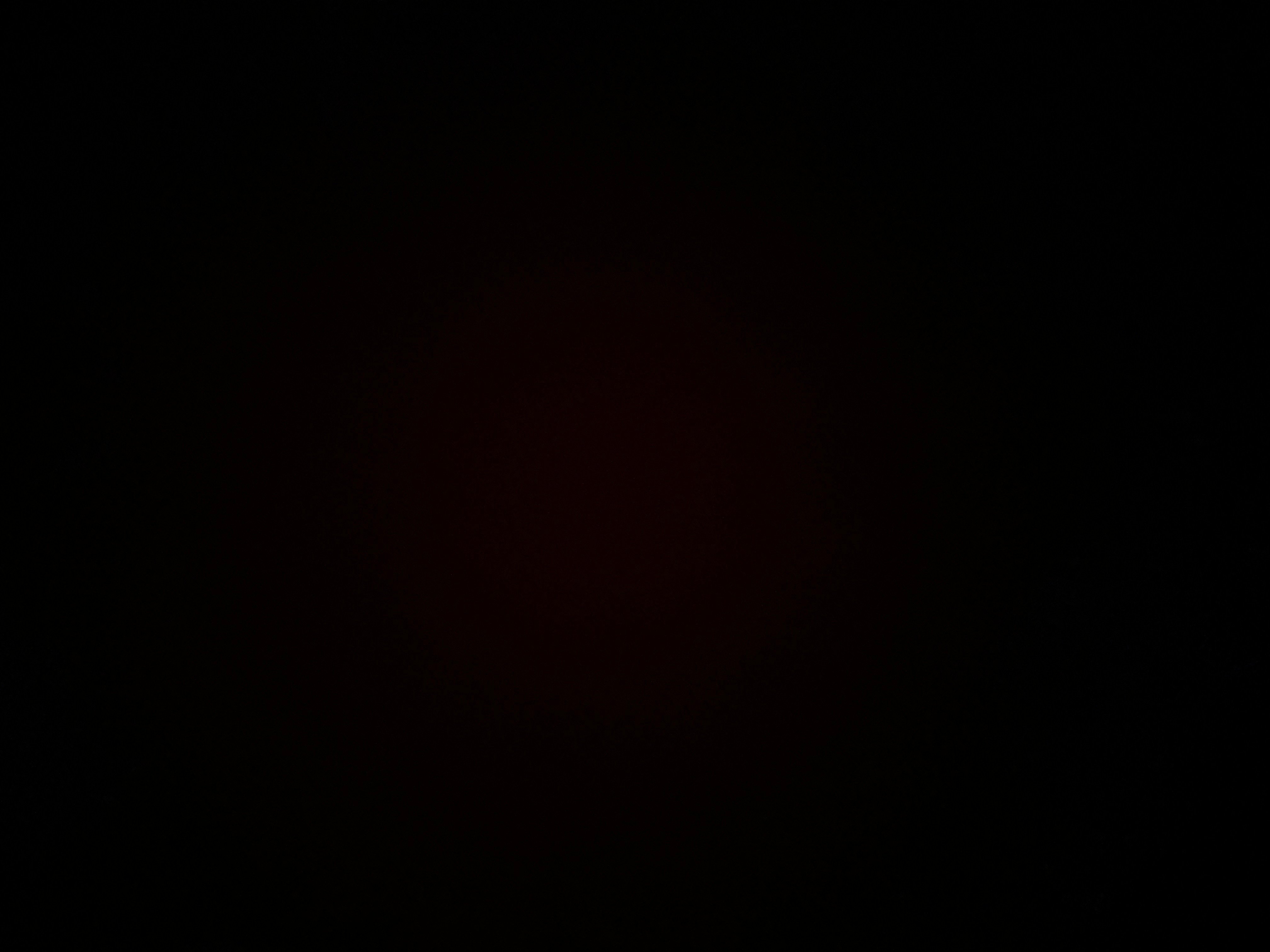 هدى الحارثي