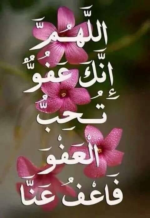 ناديه الرشيدي