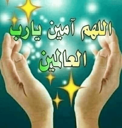 معتز الصومالي