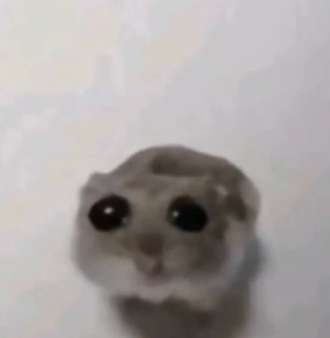 Mhmd algahmd