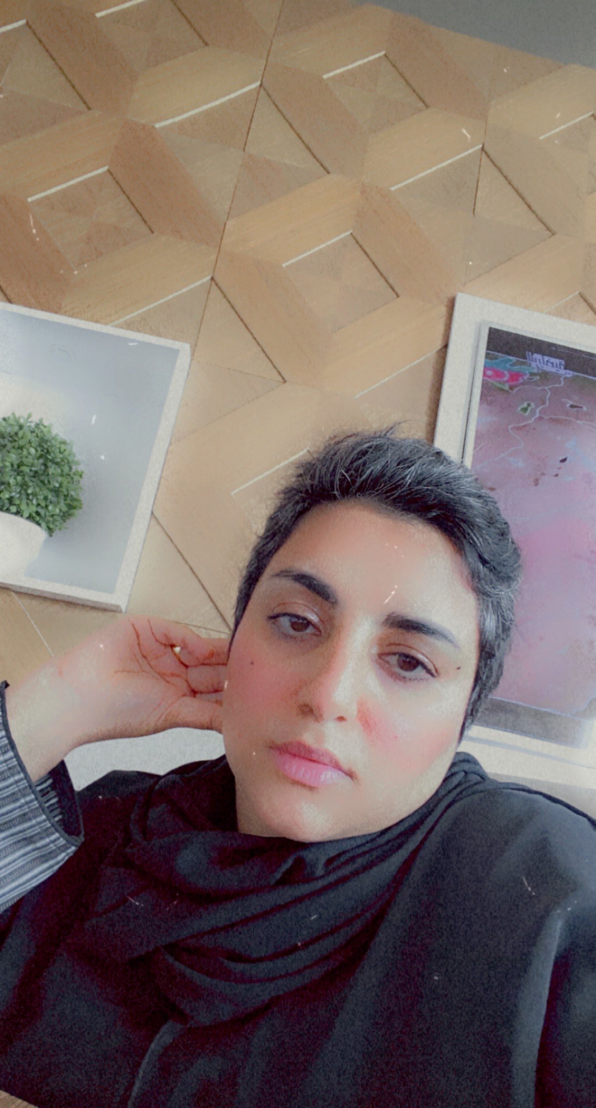 دانيه الحجازي