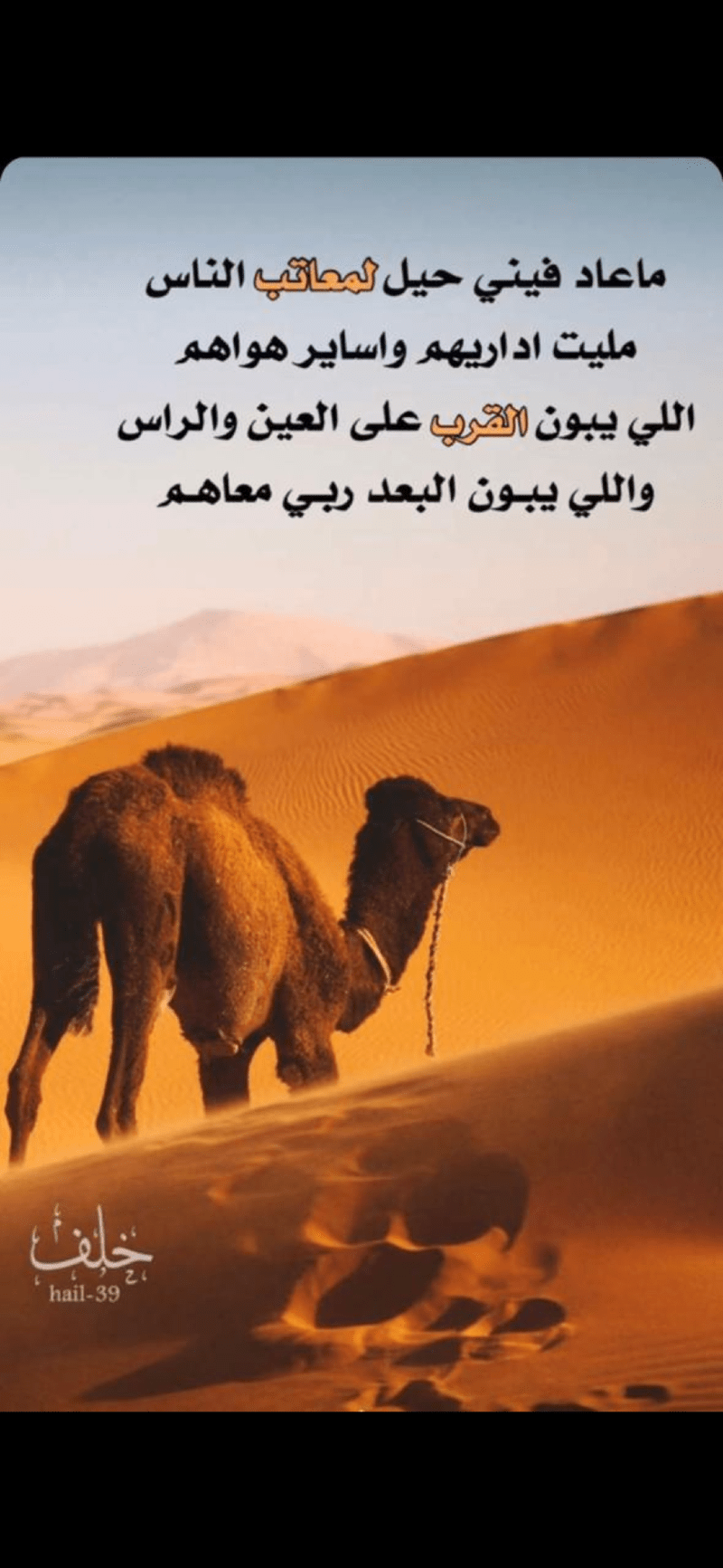 حسن محمد الحربي