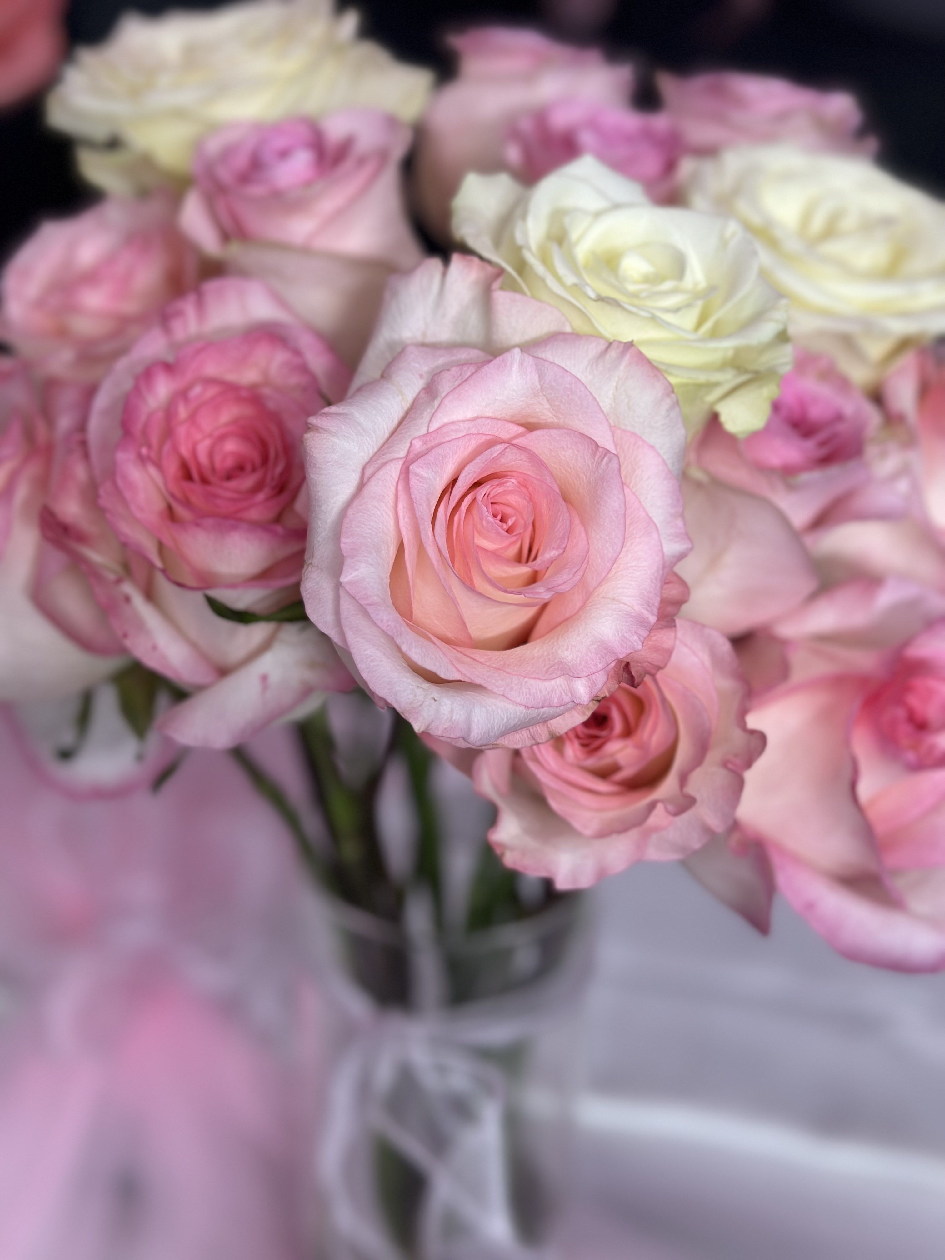 يوسف الدريسي