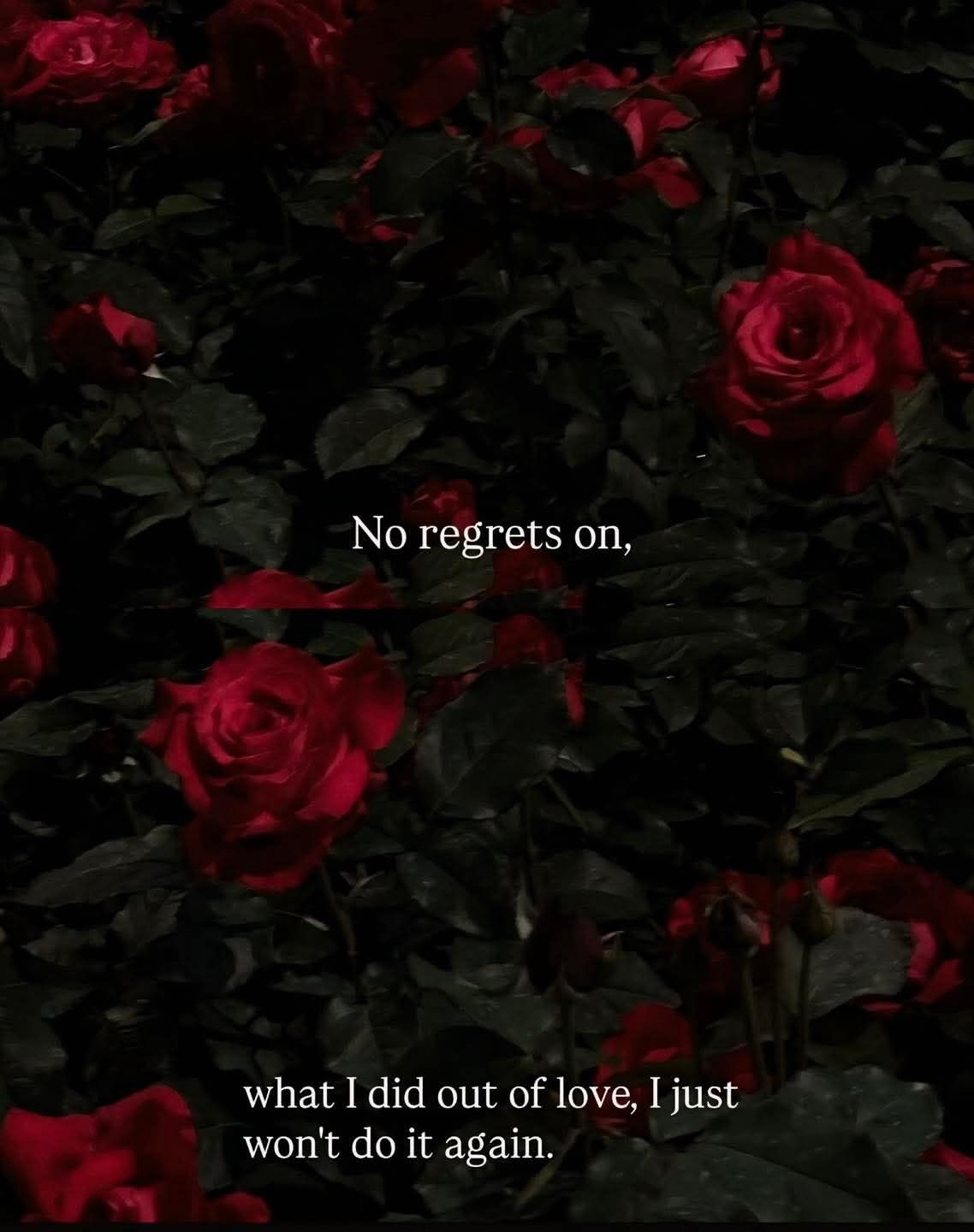 أمل كرم أحمد حسين