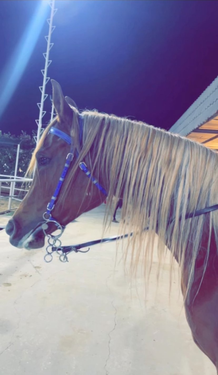 راما الزهراني