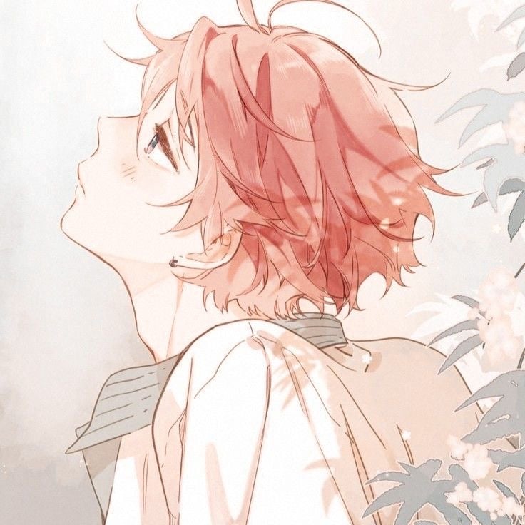 author avatar