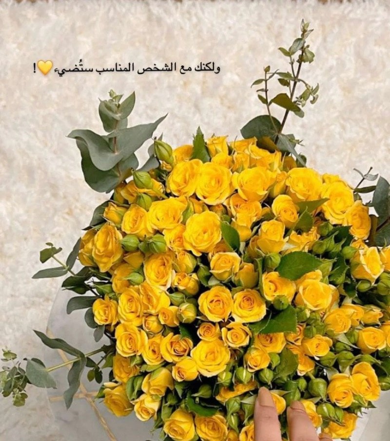 زهاء النومسي