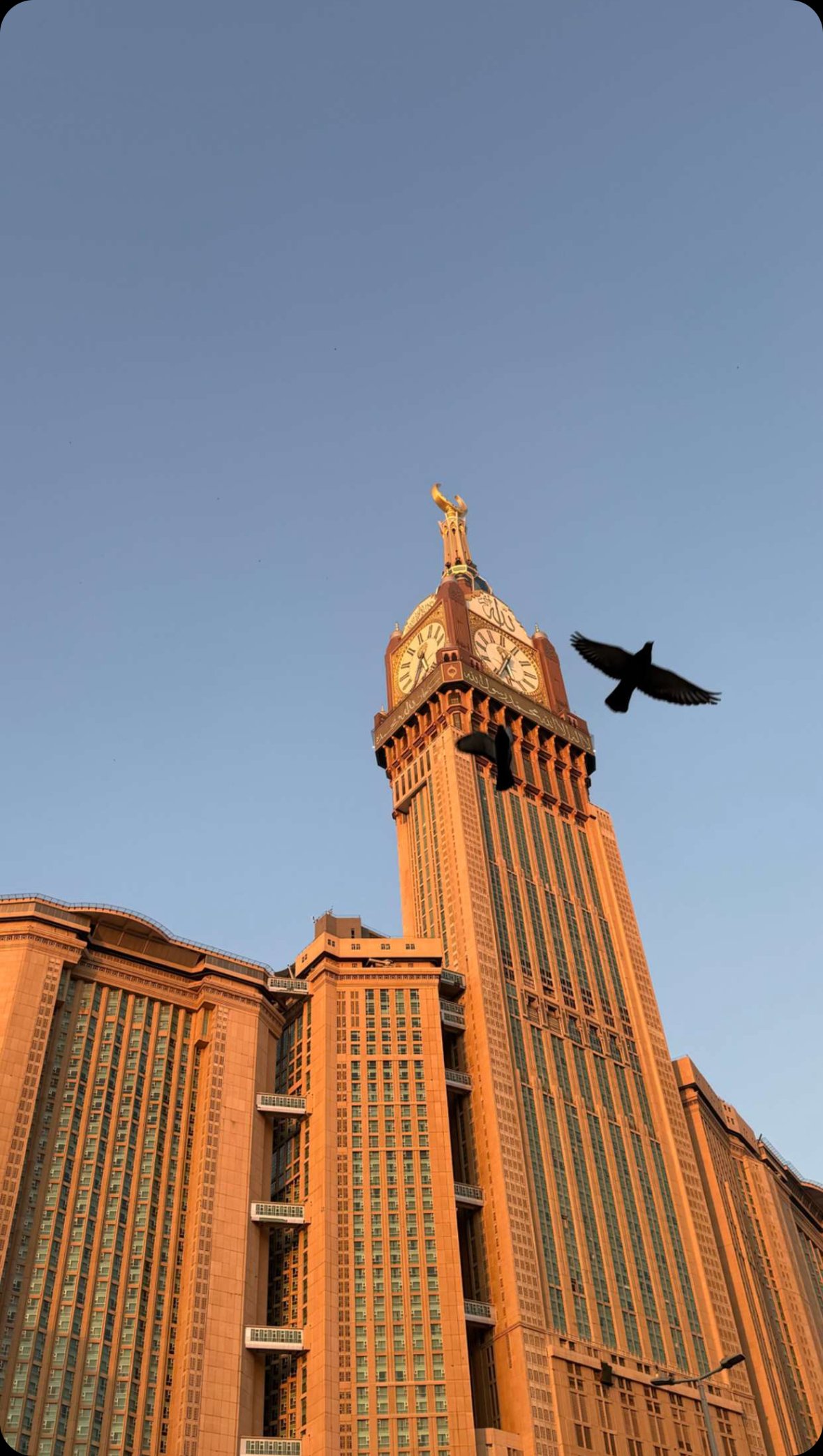 ريناد الحربي