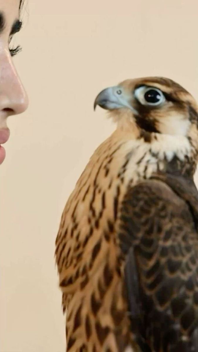 فاطمه عسيري