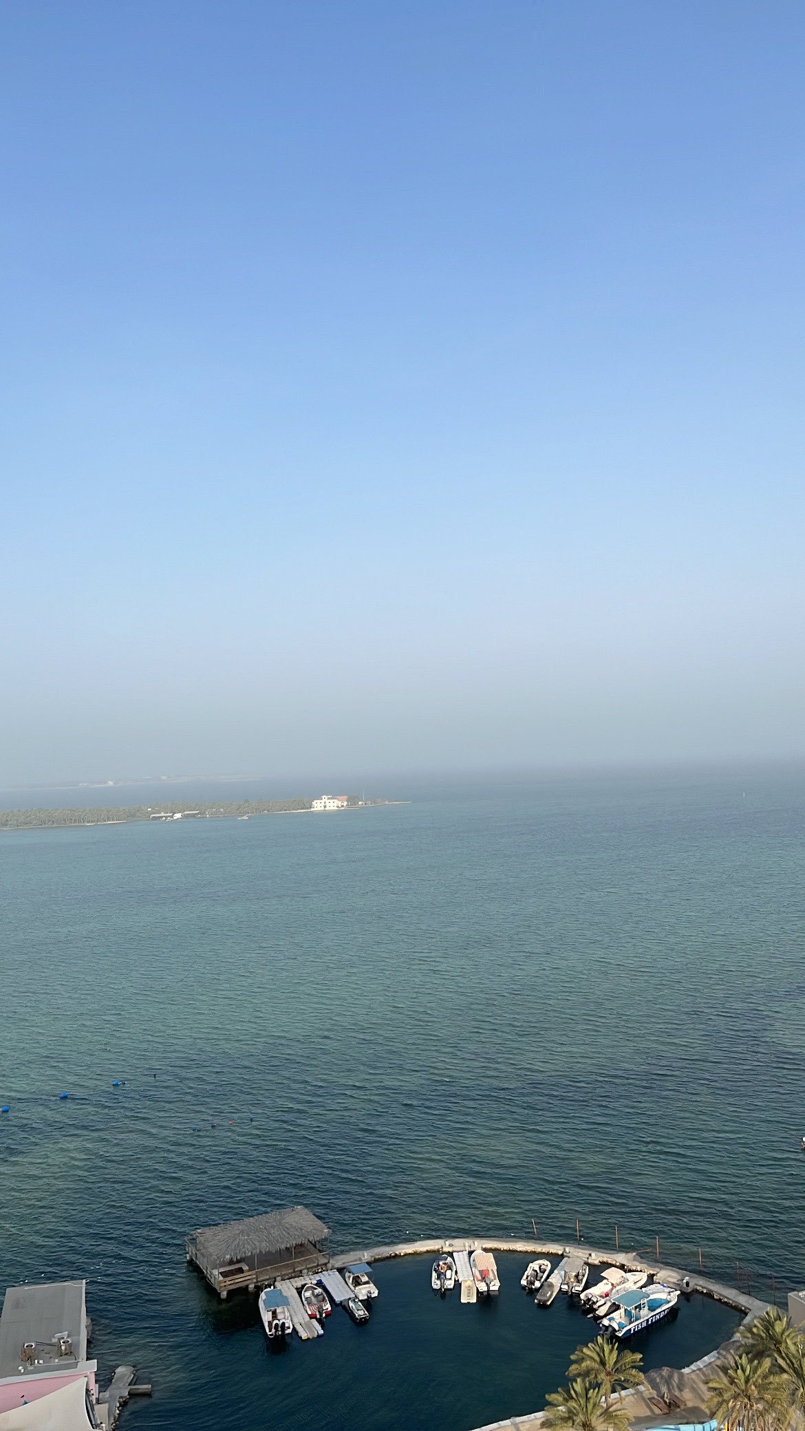 سارة اللافي