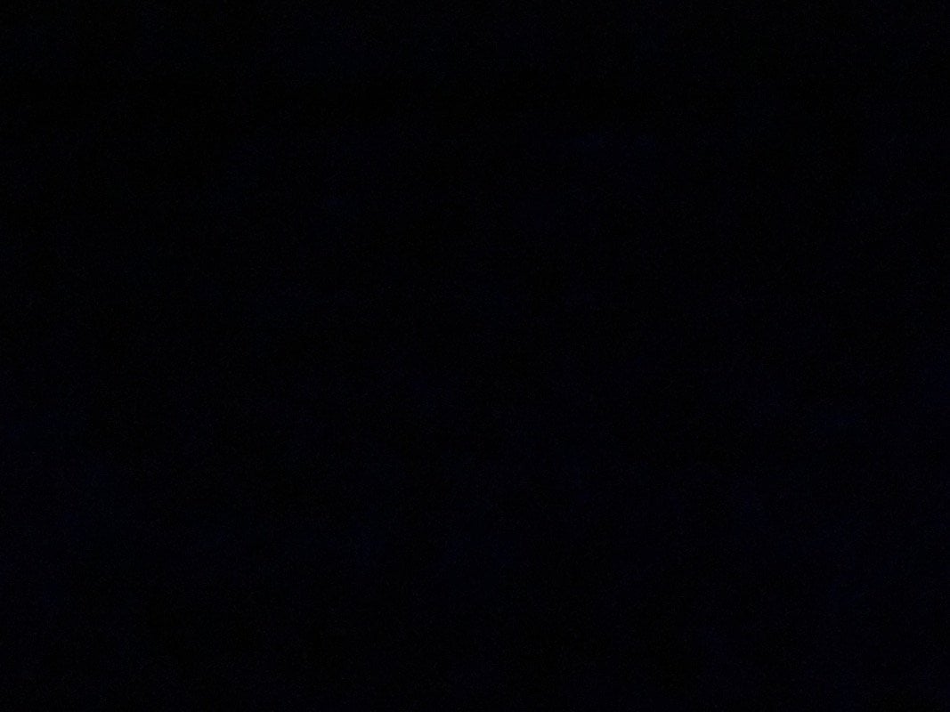 تهاني الماضي