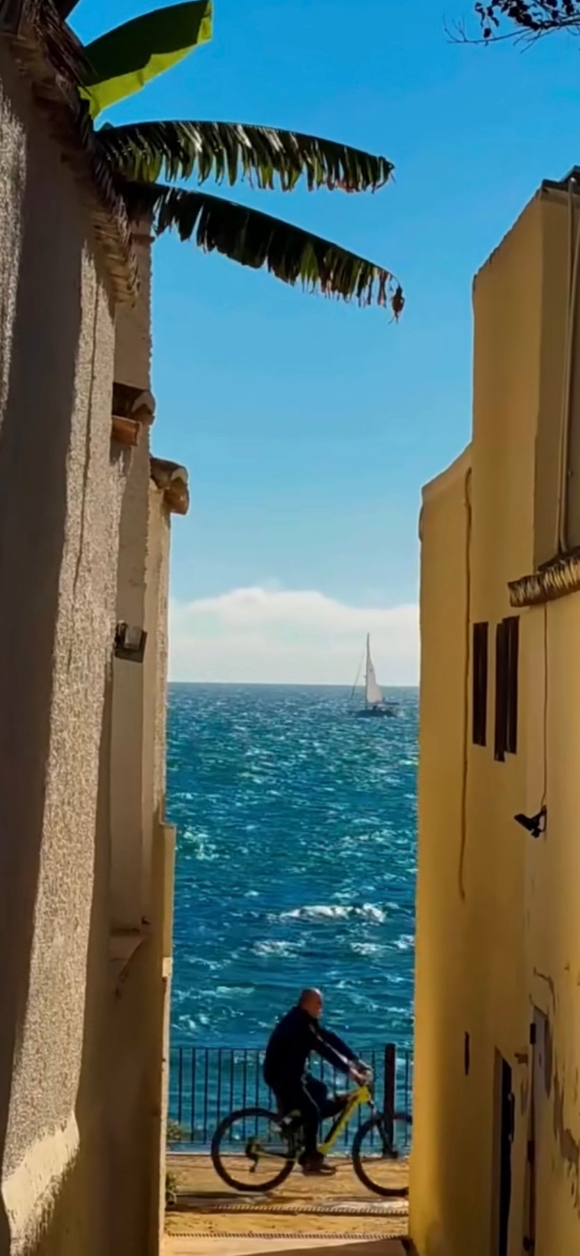 سامي الزهراني