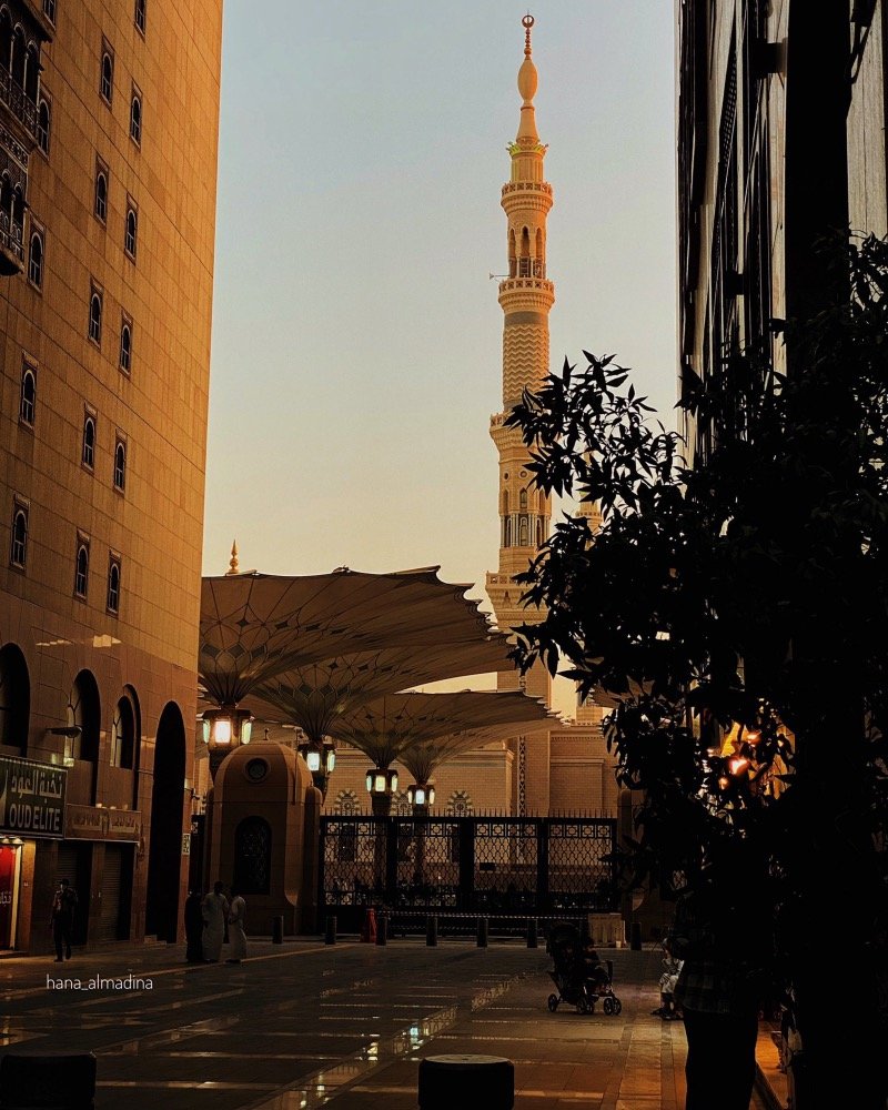 محمد الحربي