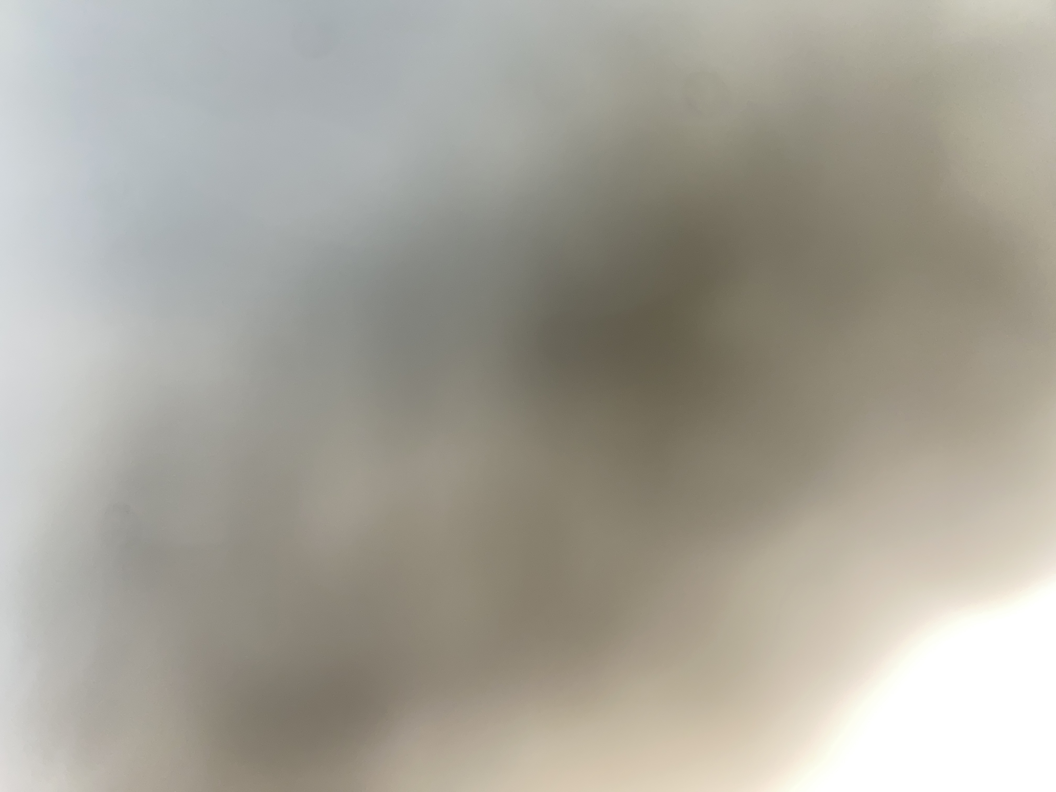 محسن الهذلي