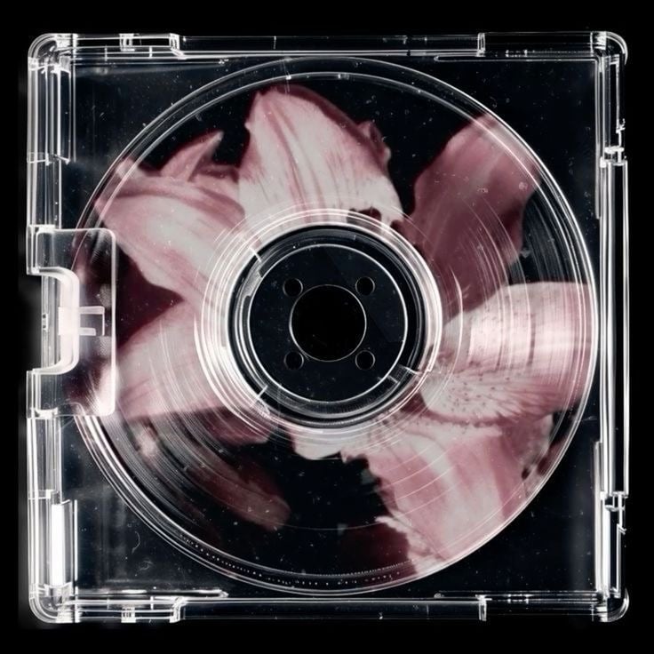 داني الغامدي