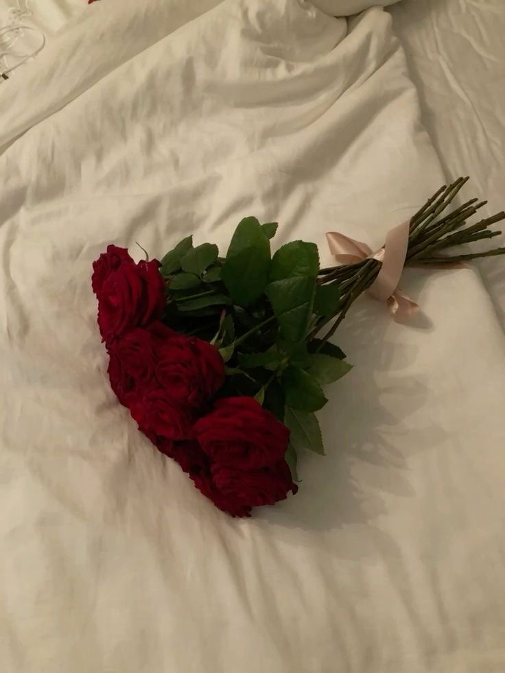 افنان شراحيلي