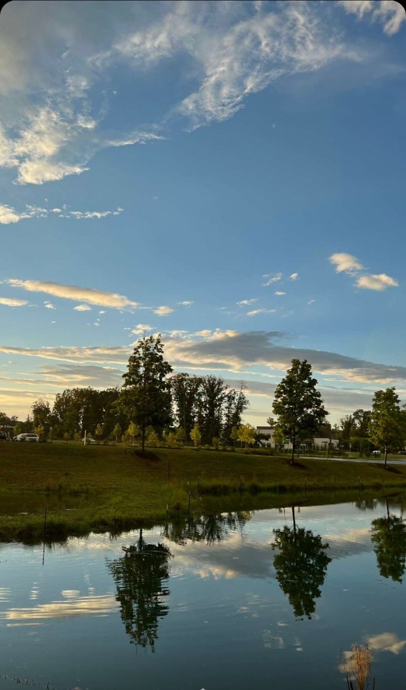 سارة عبدالعزيز