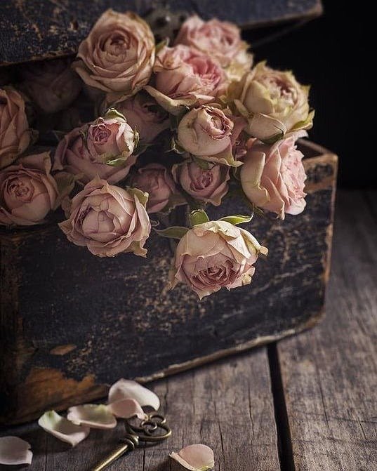 نعمه اليامي