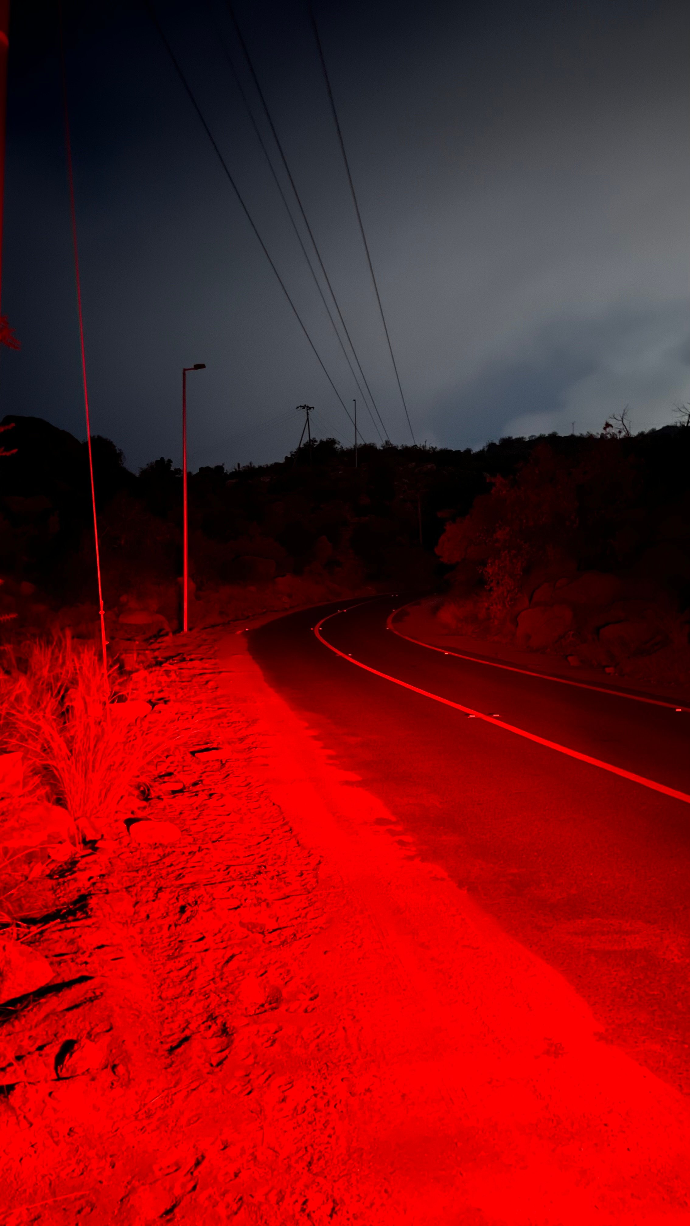 مجيد السفياني