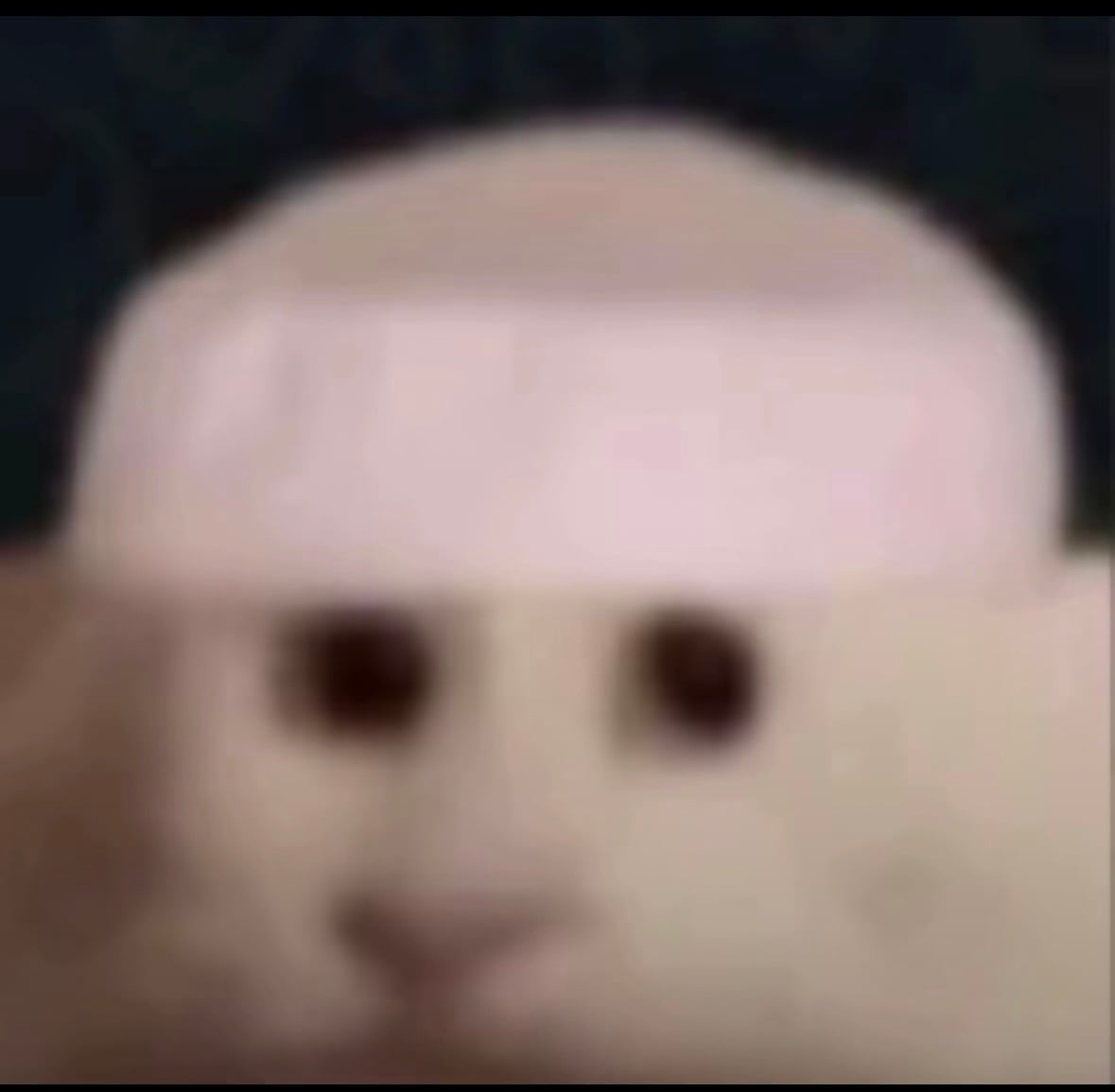 سعيد الغامدي
