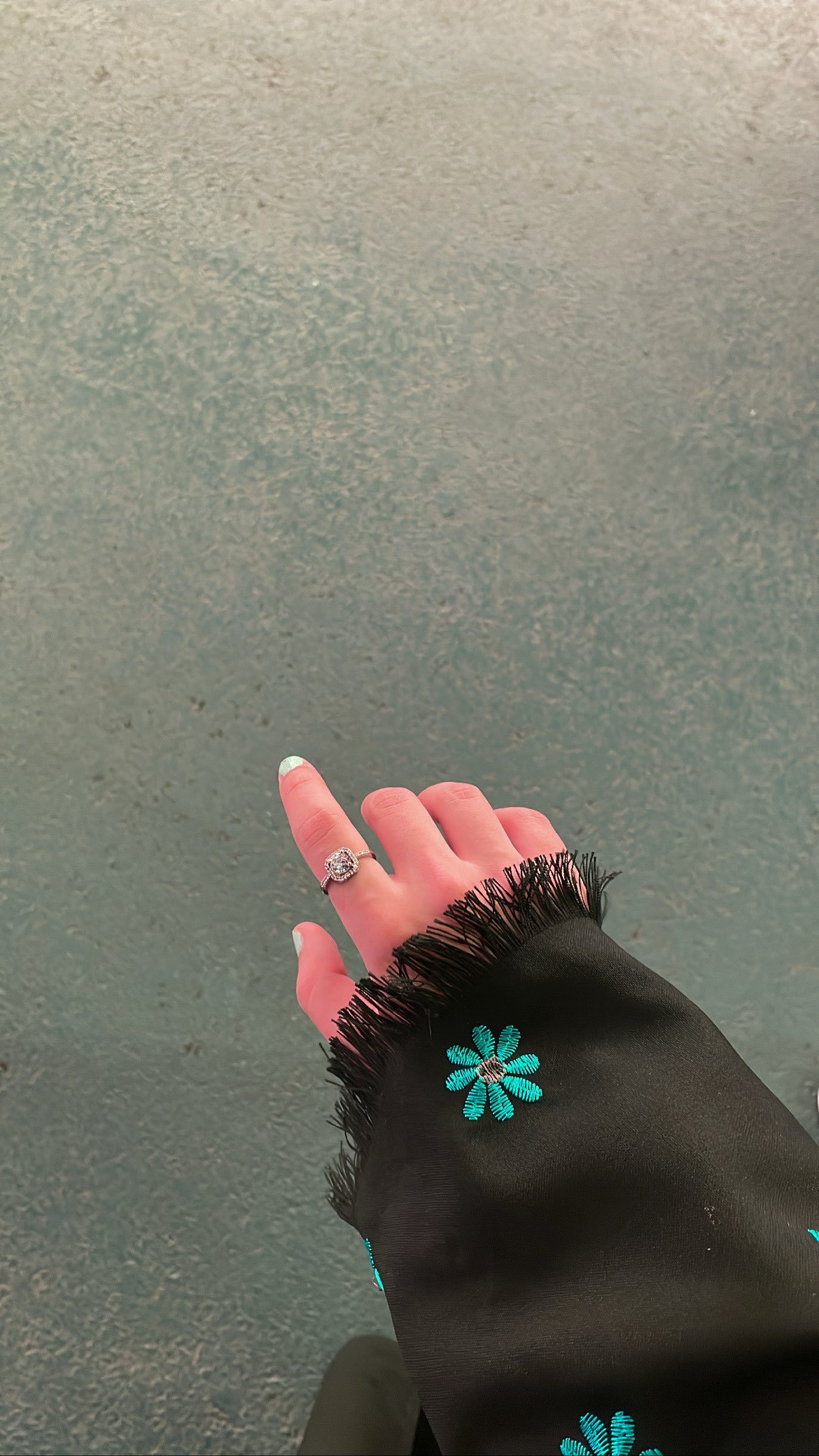 لولو ❤️❤️