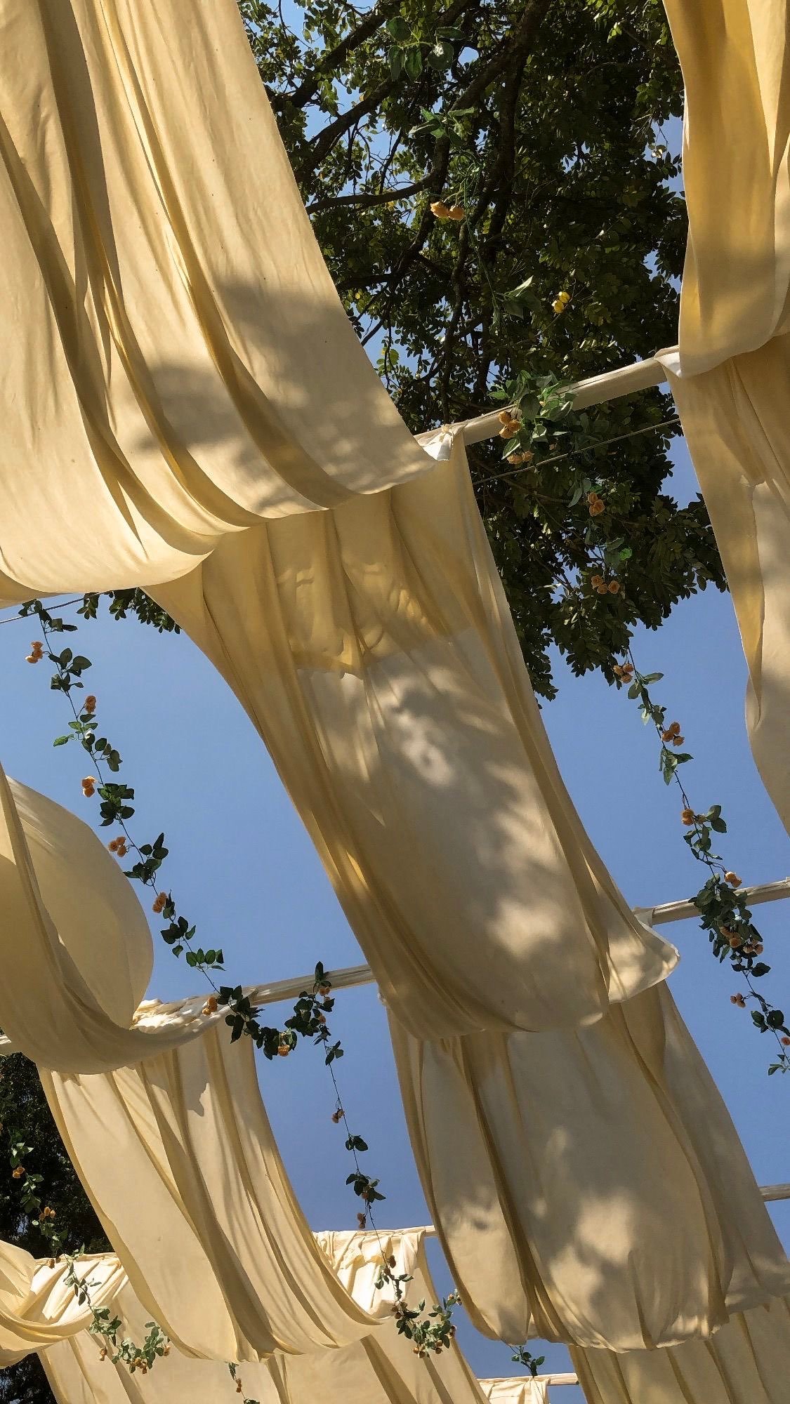 لـطيفه صالح