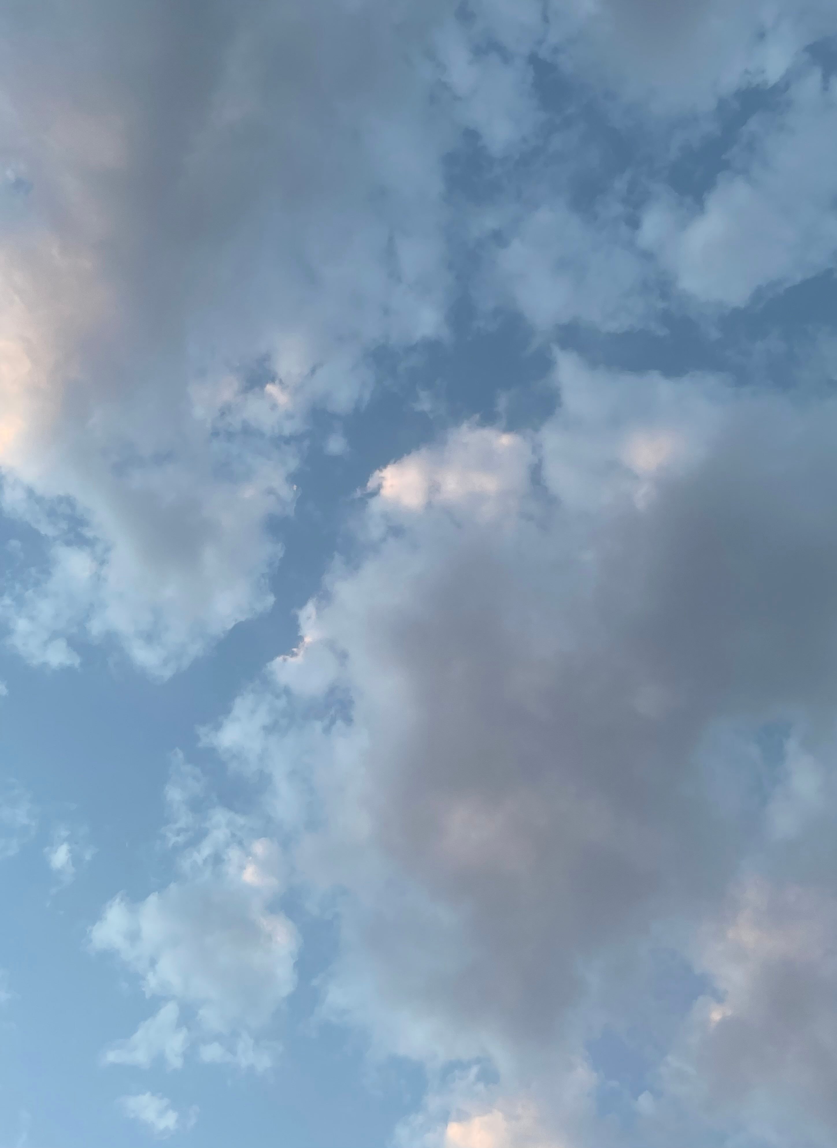 عائشه المرزوق