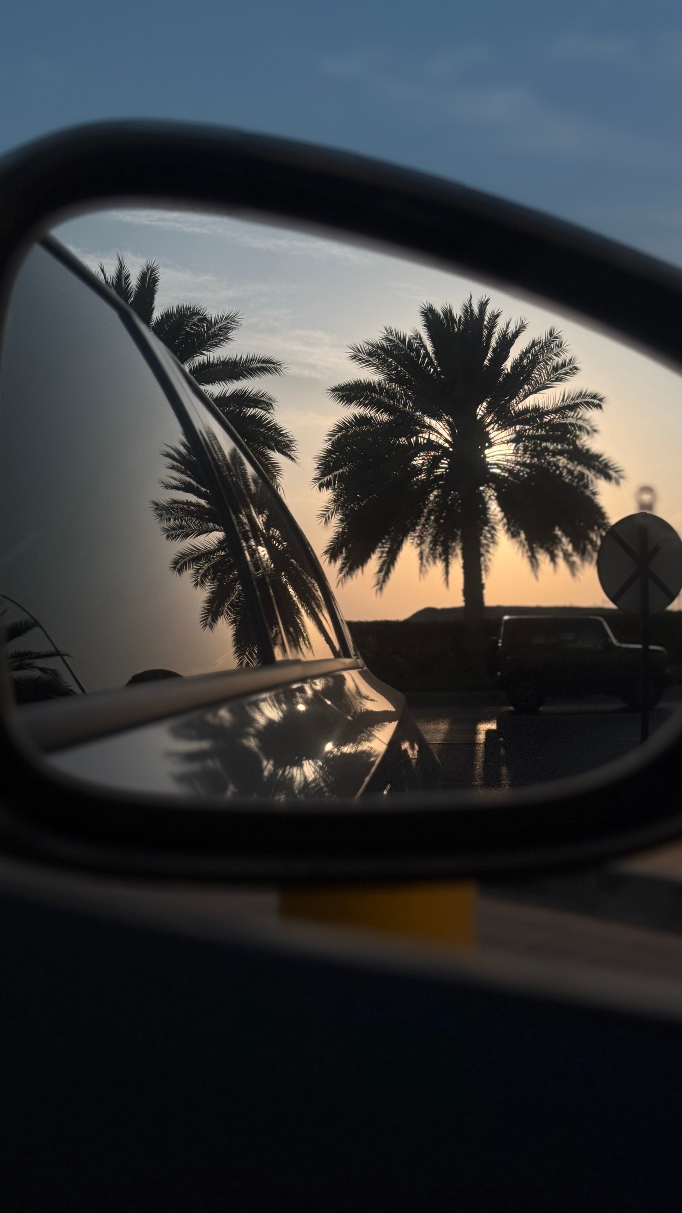 ماجد العبدلي